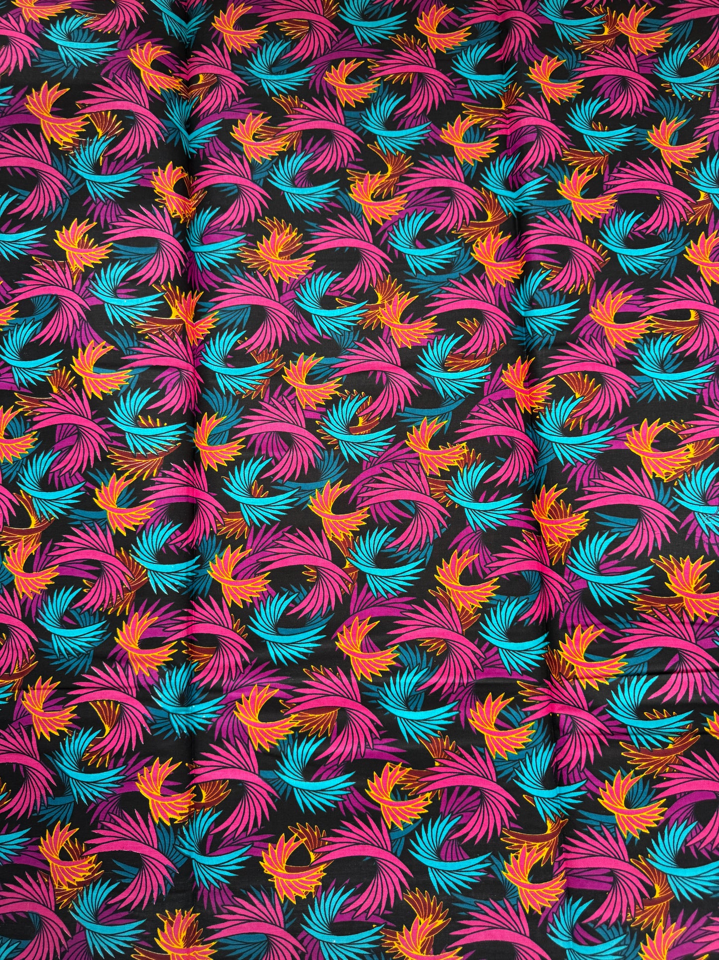 Colorful feather pattern on a black background