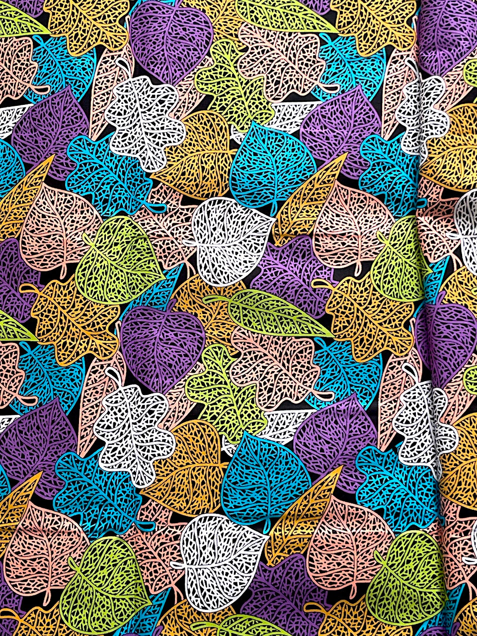 Colorful leaf pattern on a black background